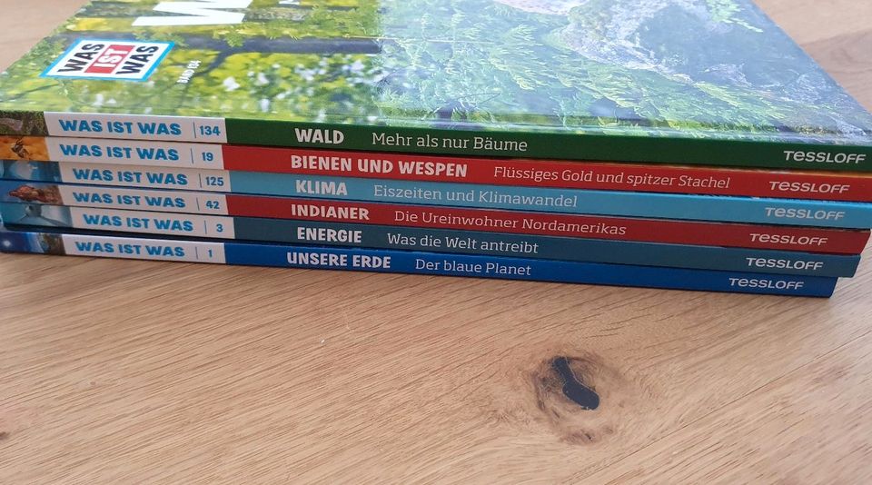 6 x WAS IST WAS Bücher Wald, Bienen, Klima, Indianer Wald Energie in Bad Gandersheim