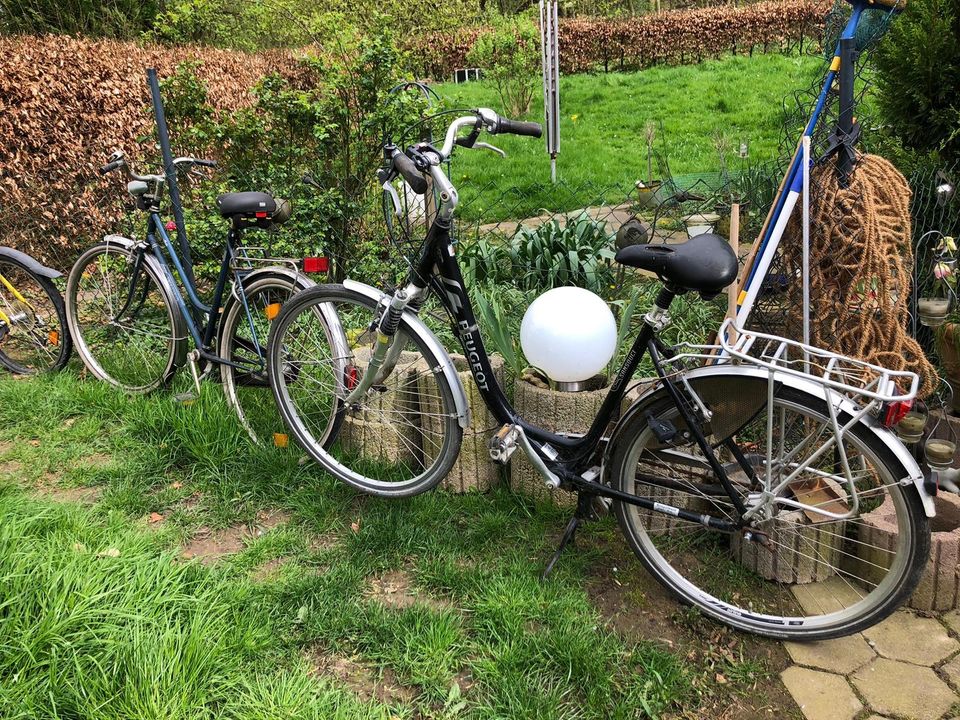 Fahrräder Mountainbike, City Bike in Detmold