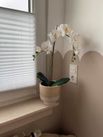 Topf mit künstlicher Orchidee Nordrhein-Westfalen - Dormagen Vorschau