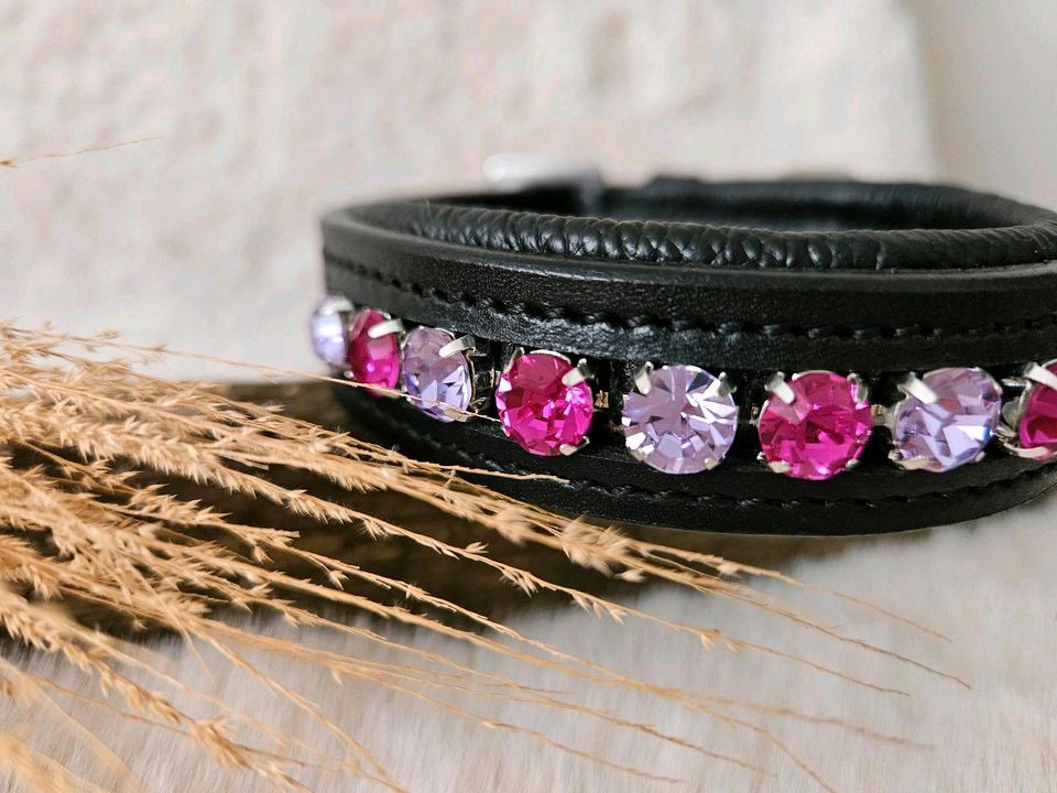 Hundehalsband Halsband Hund Lederhalsband schwarz pink lila in Beckum