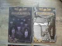 Warren Ellis Freak Angels Fantasy Steampunk Graphic Novels Schleswig-Holstein - Kiel Vorschau