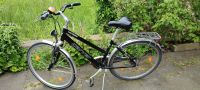 Carver 28 Zoll Fahrrad Alu ultra light Nordrhein-Westfalen - Kerpen Vorschau