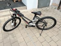 E-Bike Raleigh 26“ Bayern - Flachslanden Vorschau