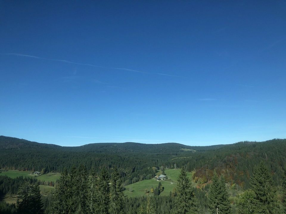 Schwarzwald Schluchsee Ferienwohnung Schwimmbad in Schluchsee