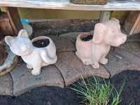 Hund u. Katze Figuren Terrakotta zum Bepflanzen Garten Dekoration Nordrhein-Westfalen - Moers Vorschau