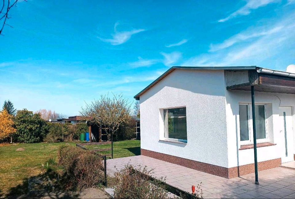 Natur pur - idyllisches Grundstück mit kernsanierten Bungalow in Ribnitz-Damgarten