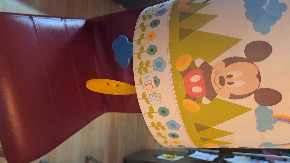 Lampenschirm Disney Minni Maus Donald Puto Lampe Decke Kinder in Ottendorf-Okrilla