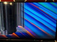 Toshiba Fernsehen 55 zoll —> kaputt!!! Nordrhein-Westfalen - Herford Vorschau