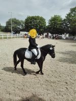 HalfterSatteldecken/Schabracken von Shetty bis Warmblut / Zubehör Hessen - Kalbach Vorschau