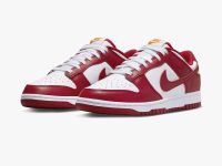 Nike Dunk Low Retro - Gym Red USC  Größe: EU 44 (US 10) Nordrhein-Westfalen - Remscheid Vorschau