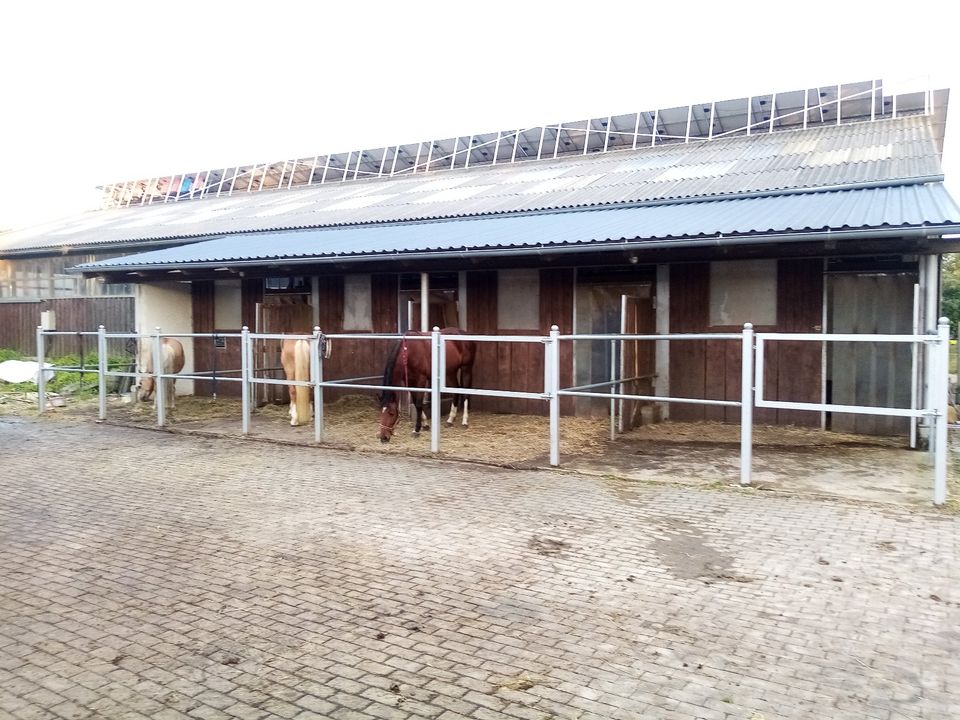 Paddockbox,Innenbox,Pferdebox in Blaustein