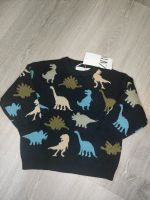 Süße Zara Pullover Größe 80 Neu mit Etikett Dino Dinosaurier Hessen - Wiesbaden Vorschau