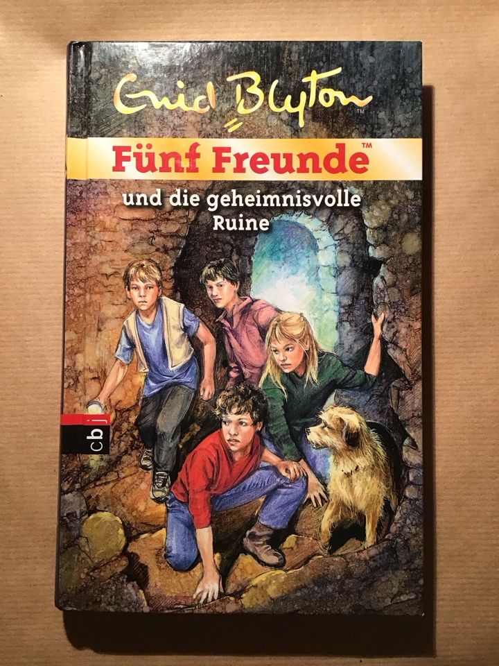 Fünf Freunde „Geheimnisvolle Ruine“ Kinderbuch in Medebach