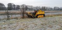 Forstmulchen, Gestrüppmulchen Niedersachsen - Leiferde Vorschau