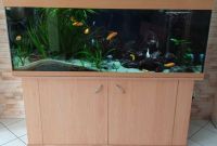 Aquarium. Unterschrank mit Stahlrahmen und Filterbecken Hessen - Liederbach Vorschau