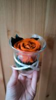 Ewige Rose Orange Geschenk Deko Baden-Württemberg - Meßstetten Vorschau