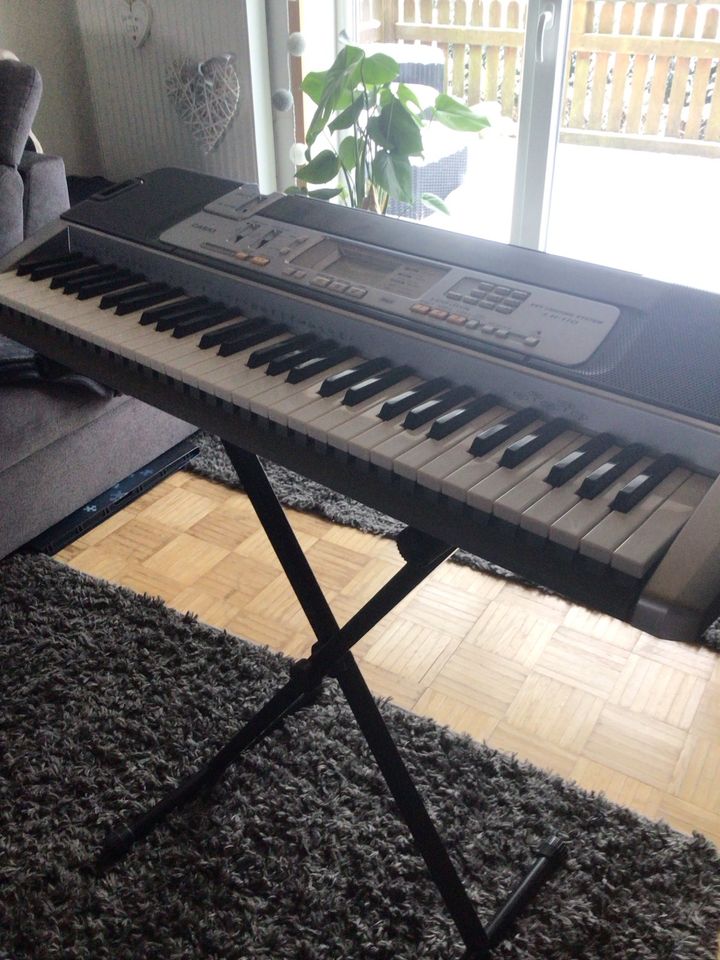 Keyboard Casio LK-100 in Horstedt bei Husum, Nordsee