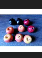 5 Äpfel + 4 Granatäpfel, künstl. Küchen-Deko-täuschend echt! Rheinland-Pfalz - Alzey Vorschau
