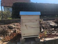 Bienenbeute 12er Dadant Sachsen - Thalheim/Erzgebirge Vorschau