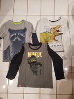 3 Langarm-shirts, Gr. 116, Dino, Ninjago, Waschbär Bayern - Moorenweis Vorschau