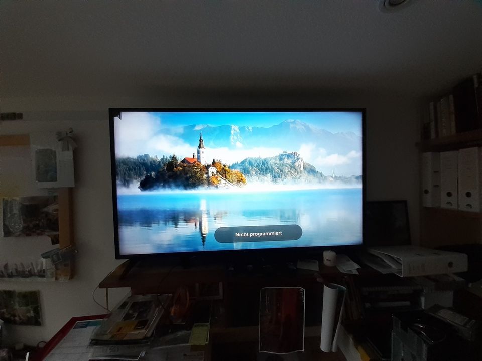 LG    55UJ6309  UHD 4K   mit Mangel in Eckental 