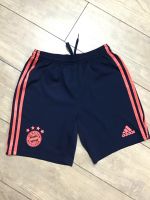 ADIDAS FC BAYERN MÜNCHEN Hose blau Größe 164 Bayern - Hilpoltstein Vorschau