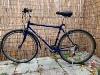 Trekking Fahrrad 28 Zoll blau Bulls Berlin - Mitte Vorschau