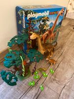 Playmobil Dinos 5231 Komplettset mit Packung Rheinland-Pfalz - Gimbsheim Vorschau