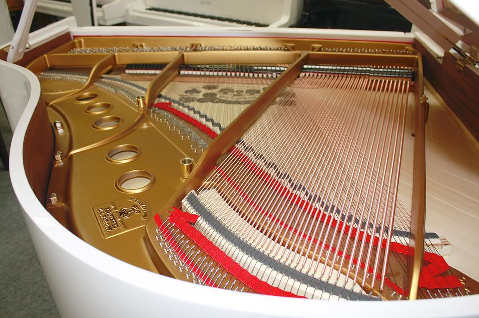 Flügel Klavier Steinway & Sons S-155 weiß poliert, 5 J. Garantie in Egestorf