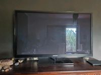 Samsung TV Full HD 51 Zoll Hessen - Bad Soden am Taunus Vorschau