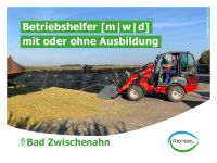 ❤️ Betriebshelfer [m|w|d] für die Landwirtschaft ❤️ Niedersachsen - Bad Zwischenahn Vorschau