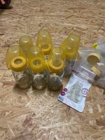 6 Glasflaschen für Babys von NIP 120 ml Bielefeld - Bielefeld (Innenstadt) Vorschau