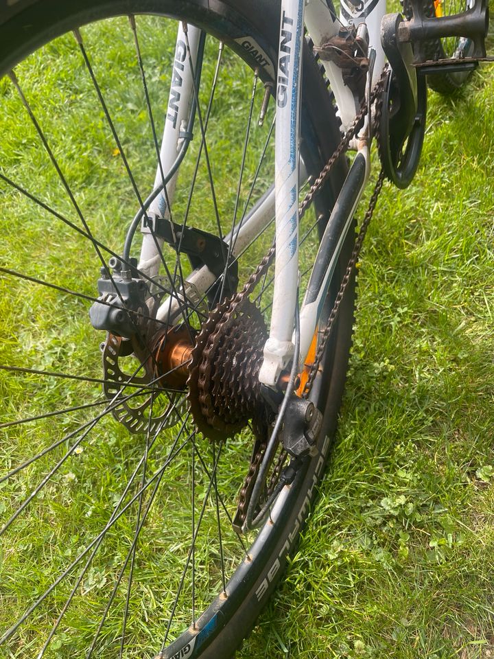 Giant Talon 5 Fahrrad Jungen Größe S in Marsberg