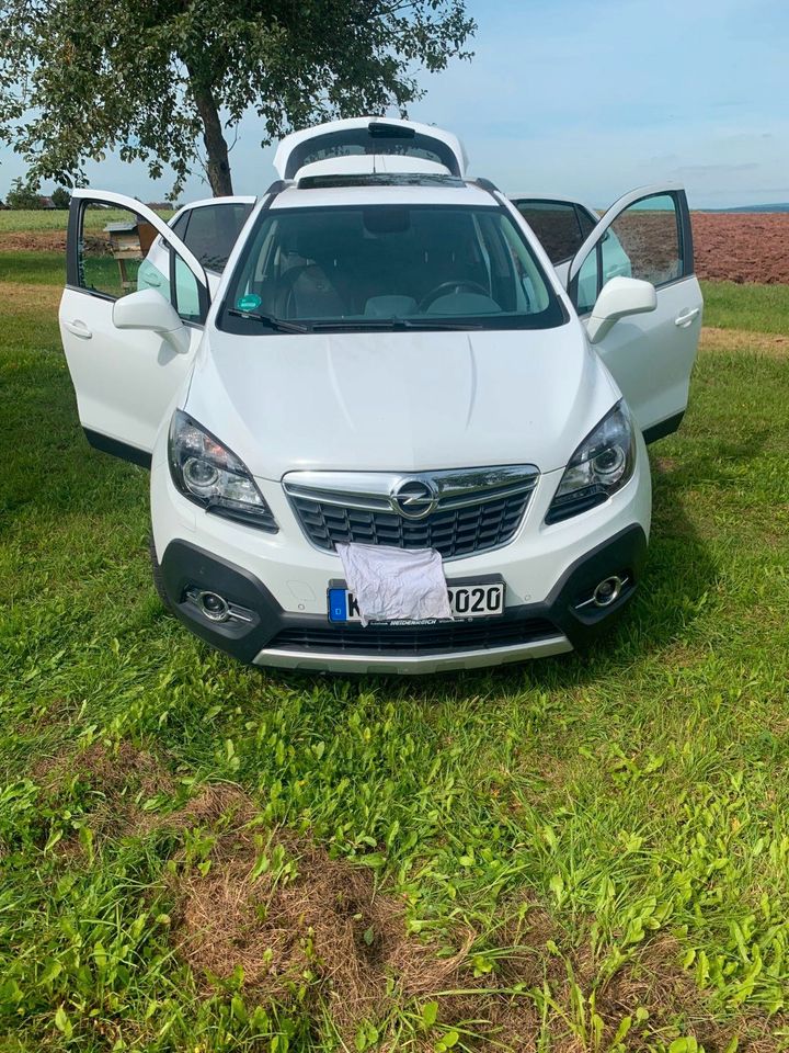 Opel Mokka 4x4 1,6 ltr CDTI  auch (Tausch)  Viano / Vito kOMPACT in Calden