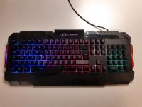 RGB LED Gaming TASTATUR Brandenburg - Fürstenwalde (Spree) Vorschau