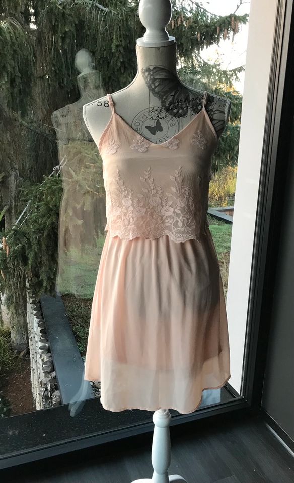 Kleid| Spitzenkleid| Chiffon-Kleid| apricotfarbend| Gr.L/40 in Schönebeck (Elbe)
