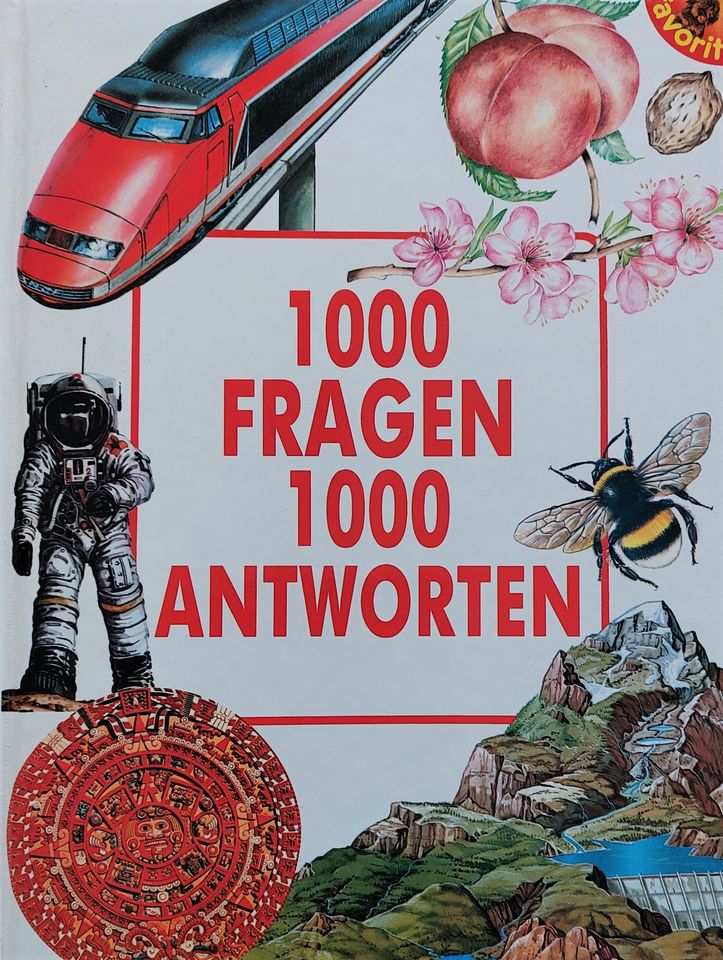 1000 Fragen – 1000 Antworten in Eggersdorf