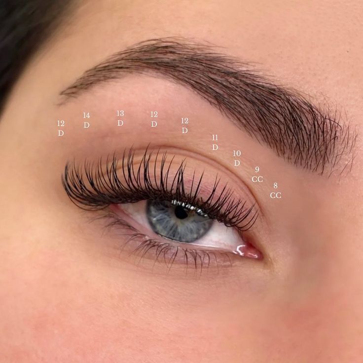 Wimpernverlängerung Modelle Gesucht ❤️ 1-1 bis mega volume in Berlin