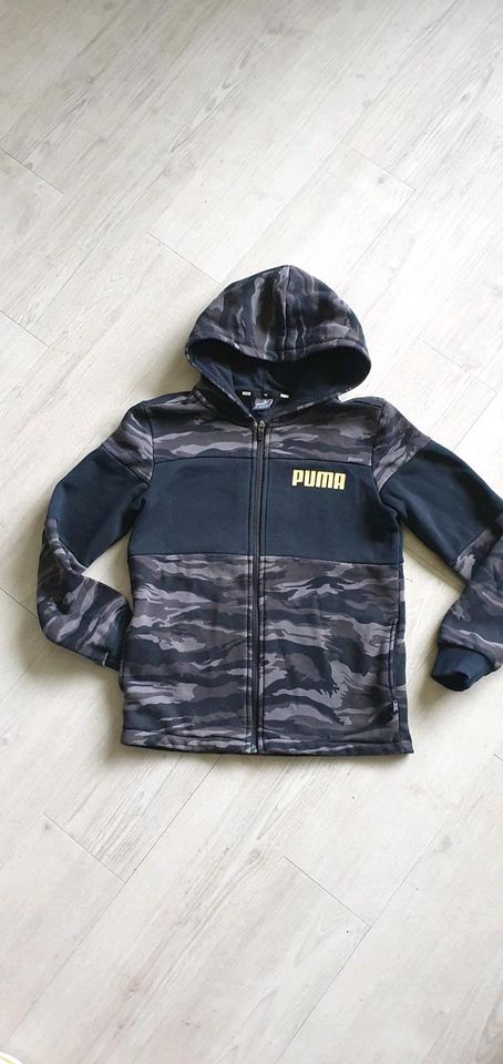 PUMA Sweatjacke/Hoodie in Hermannsburg