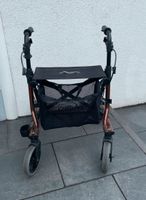 Rollator Taimi M Dietz Düsseldorf - Lichtenbroich Vorschau