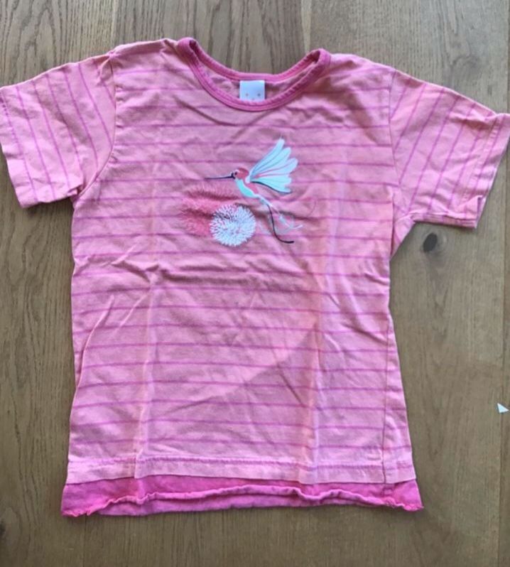 6 Mädchen T-Shirts Gr.128-134 H&M Pusblu Esprit M. Polo Dinosaur in Bornheim