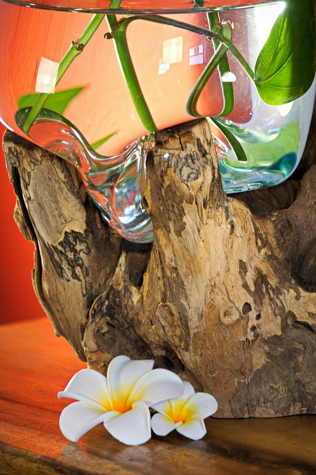 Geschmolzenes Glas auf Wurzelholz 30-50 cm Deko Vase Blumentopf in Zschopau