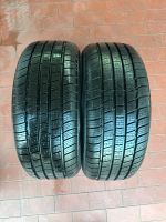 2X 195/50 R15 86 VXL Radar Dimax Ganzjahresreifen Rheinland-Pfalz - Polch Vorschau