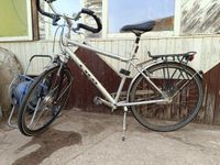 Herrenfahrrad 28" ALU / 7 Gang Nabenschaltung Thüringen - Großbrembach Vorschau