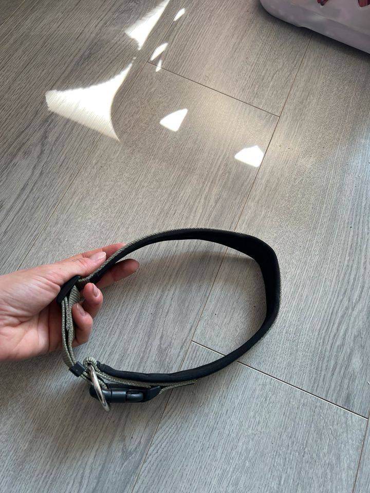 Hunter Hundehalsband. L-XL. in Sulzbach (Saar)