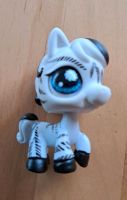 Littlest Pet Shop Zebra Baden-Württemberg - Oberhausen-Rheinhausen Vorschau