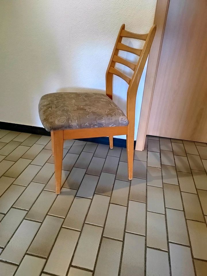 Küche/Esszimmer Stühle in Siegen