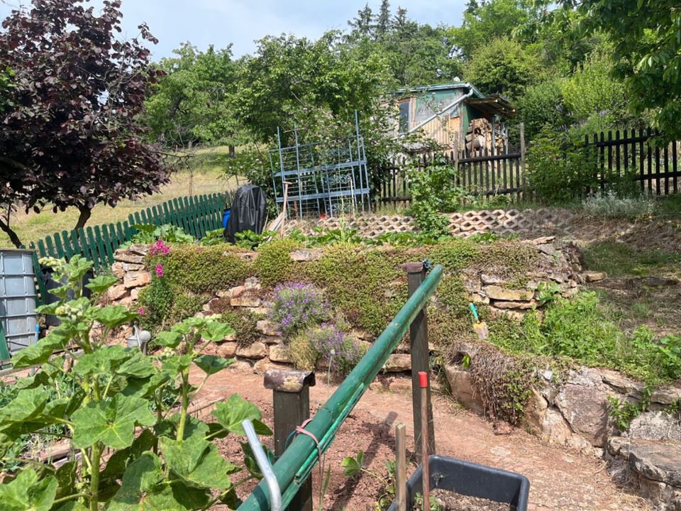 Freizeitgrundstück / Garten  mit 2x Gartenhaus und Nebengelass  in 06722 Wetterzeube in Wetterzeube