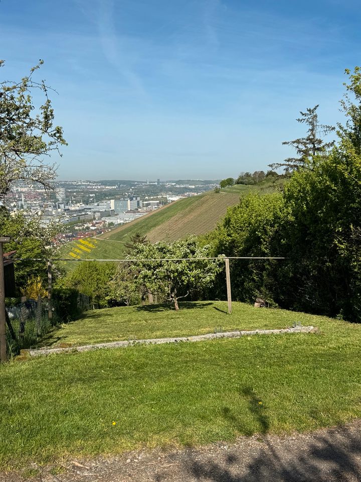 Gepflegte Obstwiese über Untertürkheim (Heidenwengert) in Stuttgart