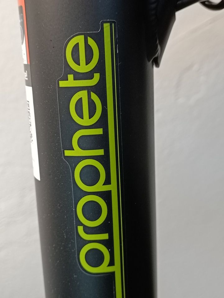 Prophete Geniesser eC100 - NEU - E-Bike Elektrofahrrad in Wiesmoor